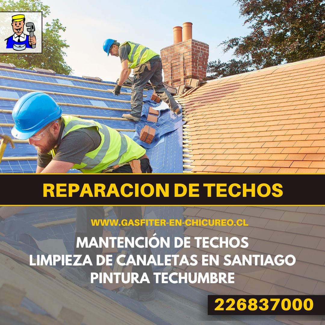 reparacion-de-techos
